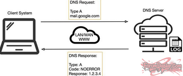 dns-responce.png